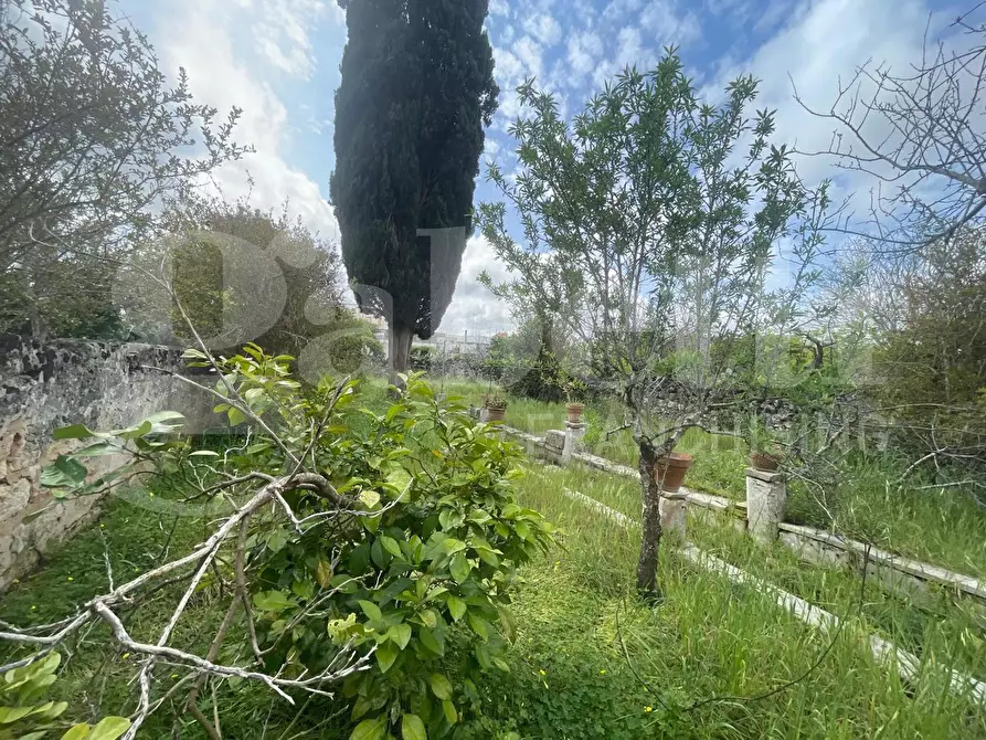 Immagine 22 di Casa indipendente in vendita  in Via Roma, 108 a Calimera