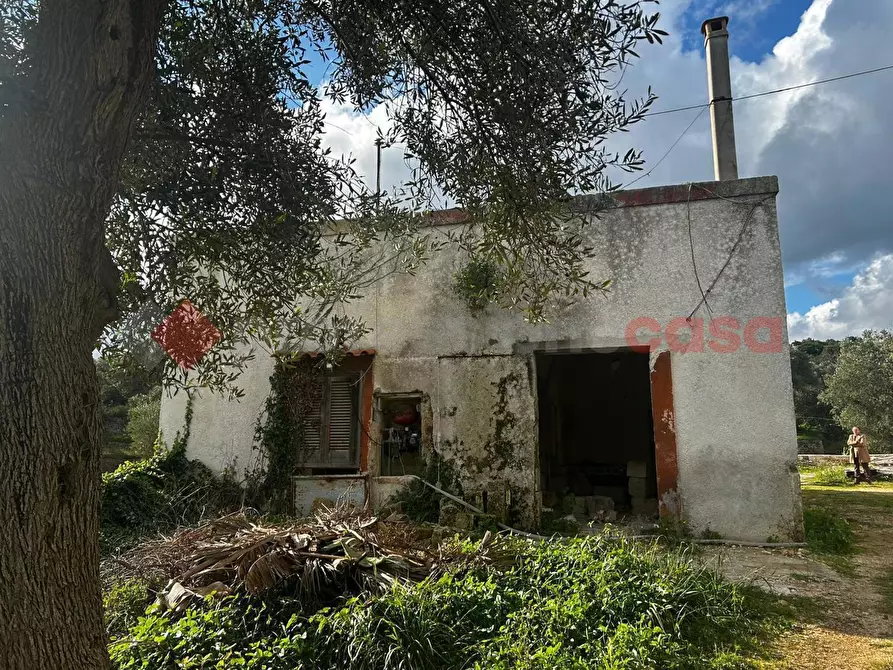 Immagine 4 di Rustico / casale in vendita  in Contrada bellocchio a Monopoli