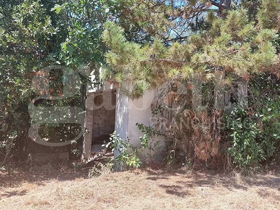 Immagine 3 di Appartamento in vendita  in Via Santa Maria, snc a Mosciano Sant'angelo