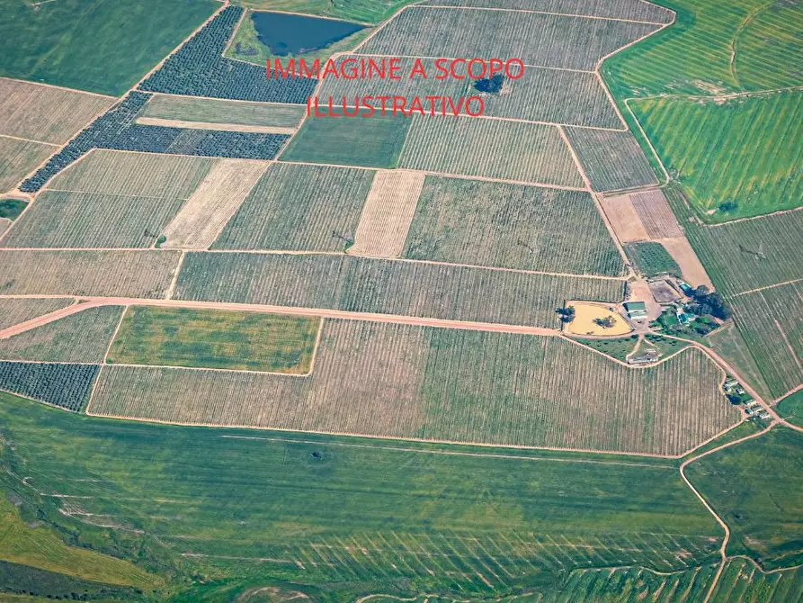 Immagine 3 di Terreno residenziale in vendita  in Via CAVANELLA D'ADIGE, 00 a Chioggia