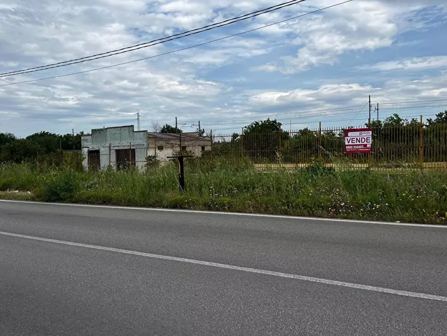 Immagine 3 di Terreno residenziale in vendita  in Via FOGGIA, SC a San Severo