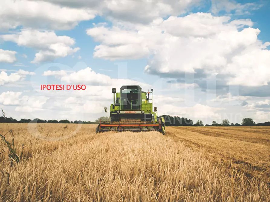 Immagine 10 di Terreno agricolo in vendita  in Via CA' BIANCA - VIA GORZONE, 00 a Chioggia
