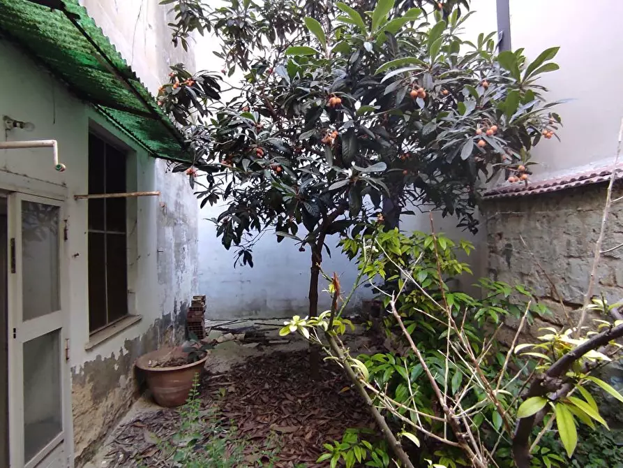 Immagine 10 di Casa indipendente in vendita  in Via DEI MILLE a San Severo