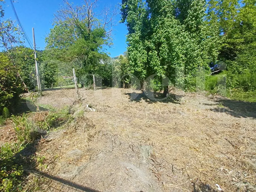 Immagine 2 di Appartamento in vendita  in Via Marsicana, 172 a Sora