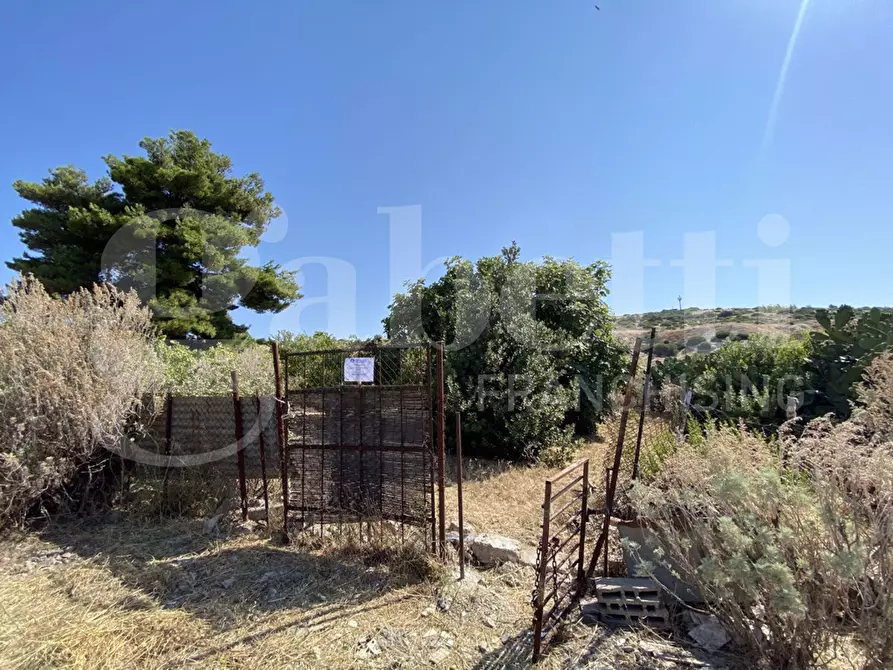 Immagine 1 di Terreno agricolo in vendita  in Via Alessandrini, snc a Maracalagonis