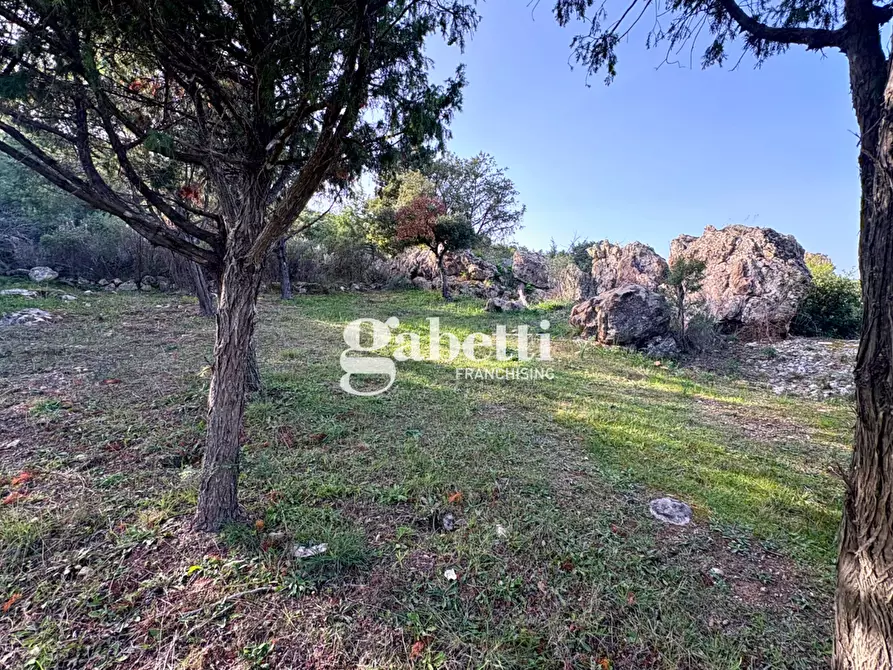 Immagine 27 di Magazzino in vendita  in LocalitÃ  Sas Enas, 2 a Padru