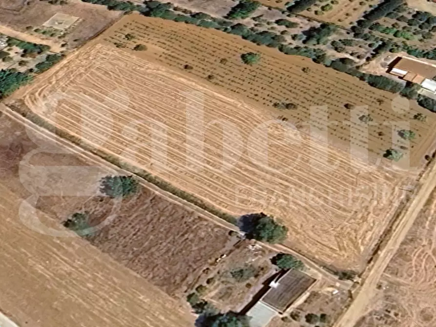 Immagine 4 di Terreno agricolo in vendita  in LocalitÃ  pintireddu, 0 a Sestu