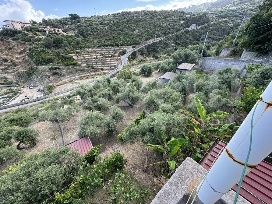Immagine 6 di Terreno agricolo in vendita  in Contrada grancabella, SNC a Messina