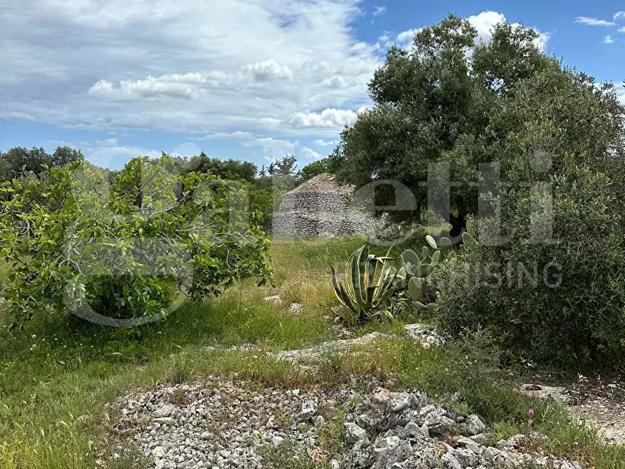 Immagine 8 di Villa in vendita  in Contrada Acquarella, sn a Ostuni