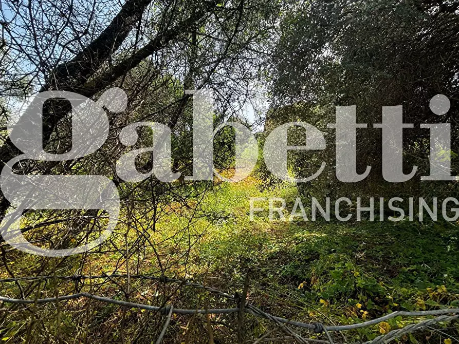 Immagine 4 di Terreno residenziale in vendita  in Via S.S 293, . a Nuxis