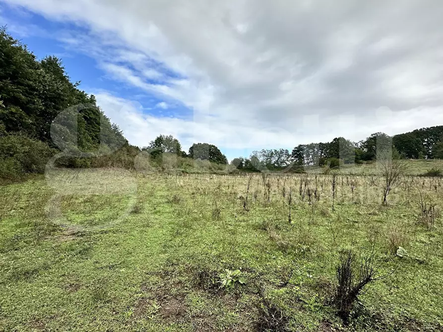 Immagine 2 di Terreno agricolo in vendita  in Via BRACCIANESE, SNC a Oriolo Romano