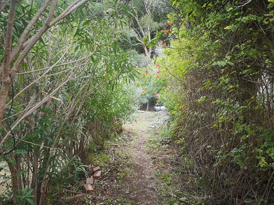 Immagine 2 di Terreno agricolo in vendita  in Via Comunale Catarratti, 106 a Messina