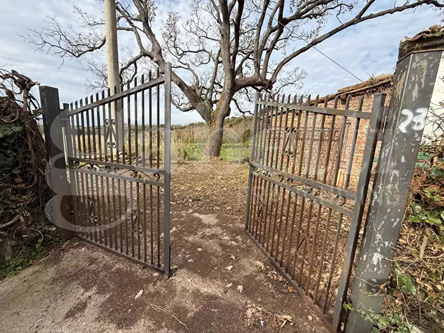 Immagine 3 di Terreno agricolo in vendita  in Contrada CARLO FAZZO, snc a Pianopoli
