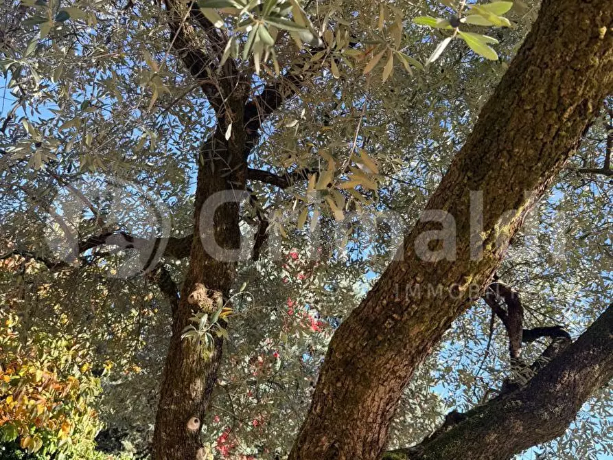 Immagine 11 di Appartamento in vendita  in Via Frazione Morgnaga Via Filippini, 1 a Gardone Riviera