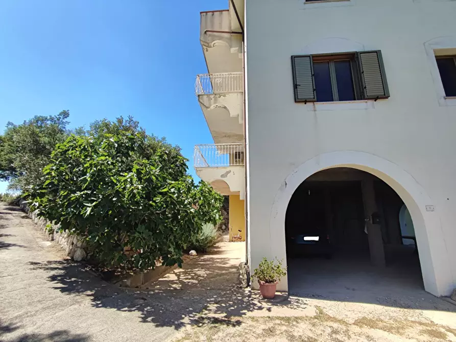 Immagine 7 di Palazzo in vendita  in Via SANTA LUCIA, 41 a Davoli