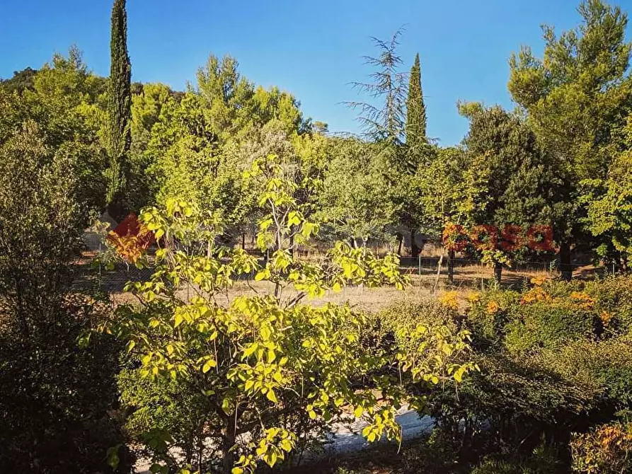 Immagine 21 di Appartamento in affitto  in Viale Trasimeno, 100 a Magione