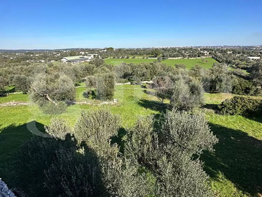 Immagine 14 di Villa in vendita  in Contrada Sessana Piccola, sn a Ostuni
