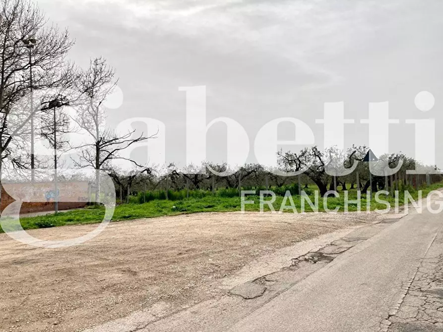 Immagine 5 di Terreno residenziale in vendita  in Strada vicinale guadone, snc a San Severo