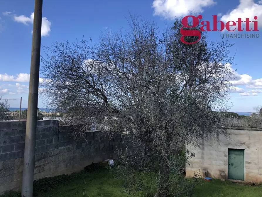 Immagine 2 di Terreno agricolo in vendita  in Via Fiore a Gallipoli