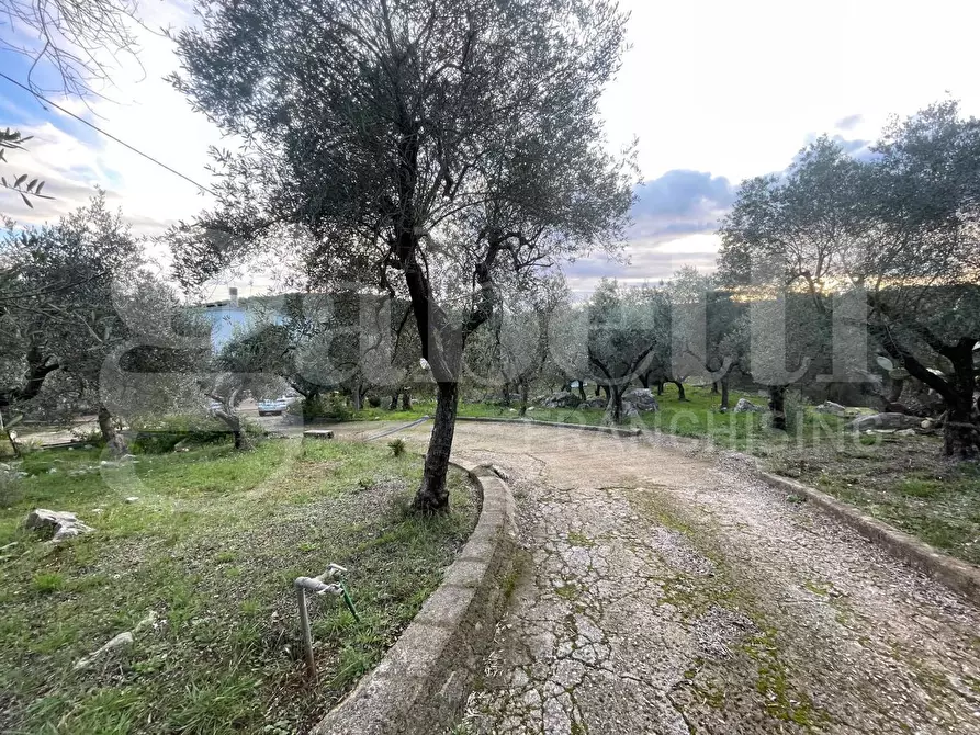 Immagine 36 di Casa bifamiliare in vendita  in Strada Provinciale Itri-Sperlonga, 127 a Itri