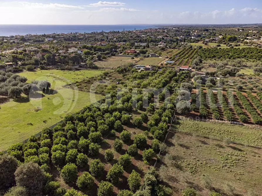 Immagine 3 di Terreno residenziale in vendita  in Via dulcamara, 45 a Noto