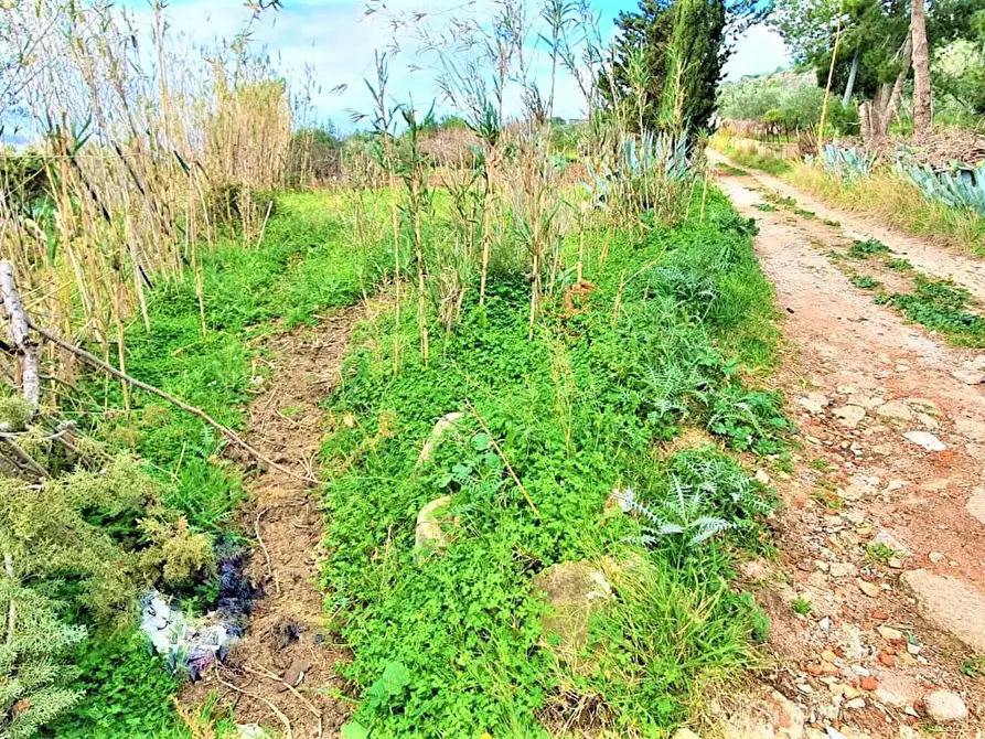 Immagine 7 di Rustico / casale in vendita  in Strada Provinciale, 1 Bis a Carini