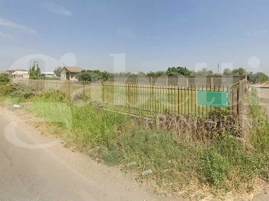 Immagine 2 di Terreno agricolo in vendita  in Strada provinciale 30, 0 a Torremaggiore