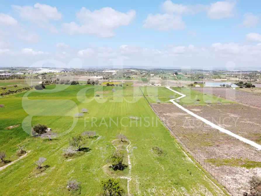 Immagine 6 di Terreno agricolo in vendita  in Strada provinciale, 56 a Noto