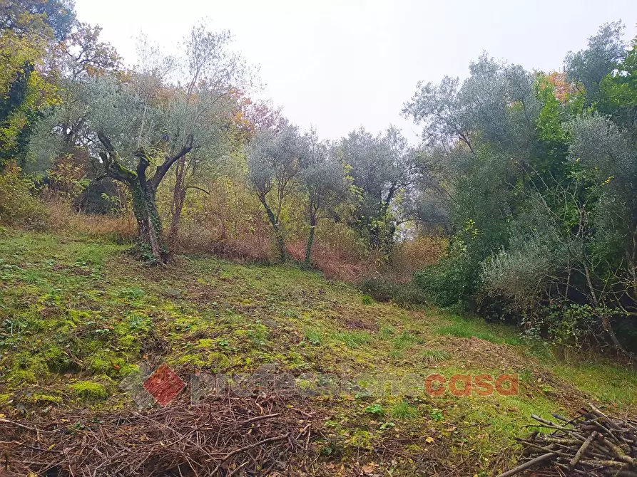Immagine 6 di Terreno agricolo in vendita  in Via Monteluce Via Monterone a Perugia