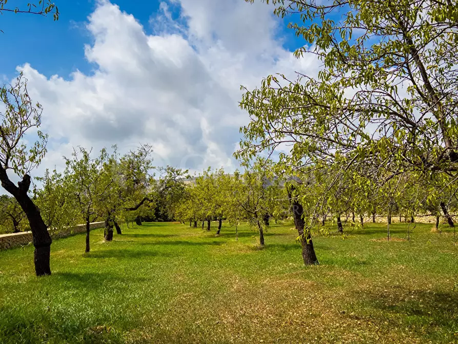 Immagine 13 di Rustico / casale in vendita  in Contrada Rociola a Avola