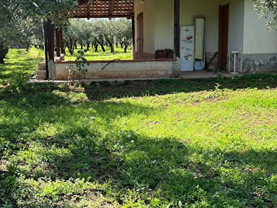 Immagine 6 di Terreno agricolo in vendita  in Via Raoul Morelli, 133 a Lamezia Terme