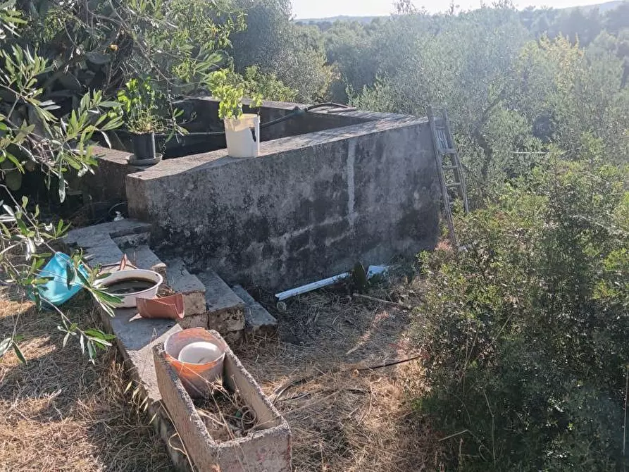 Immagine 4 di Terreno agricolo in vendita  in Strada VICINALE CRISPIANO MONTETERMITI, SNC a Crispiano