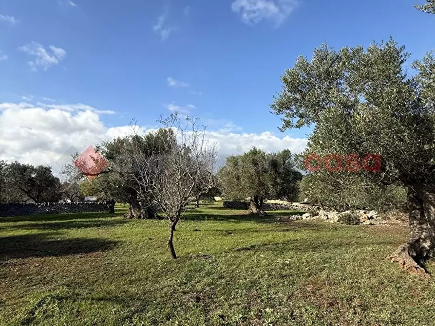 Immagine 1 di Terreno residenziale in vendita  in Via SP 28, 1 a Ostuni