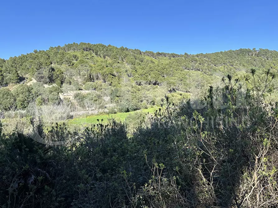 Immagine 11 di Rustico / casale in vendita  in Contrada Petraro, snc a Chiaramonte Gulfi