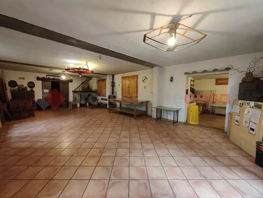 Immagine 21 di Terreno agricolo in vendita  in Via di castagneto a Empoli