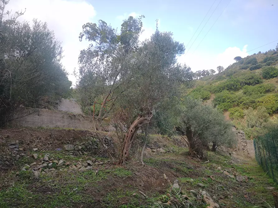 Immagine 6 di Terreno agricolo in vendita  in Via Comunale Catarratti, 106 a Messina