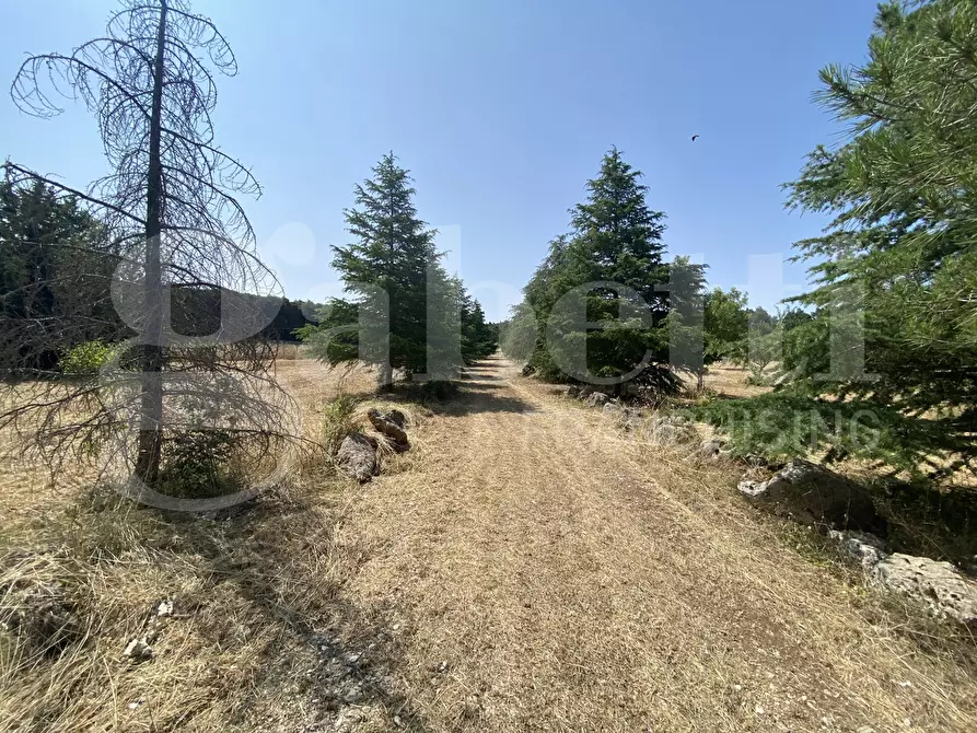 Immagine 22 di Villa in vendita  in Via S.P. 18, 76 a Cassano Delle Murge