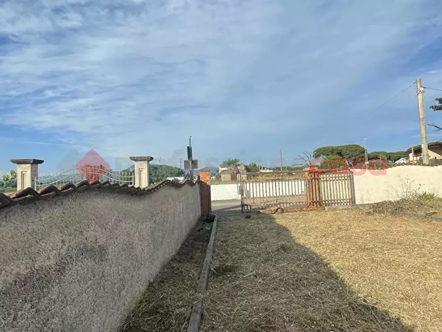 Immagine 9 di Terreno agricolo in vendita  in Strada PROV. S. FELICE CIRCEO, 1 a Terracina