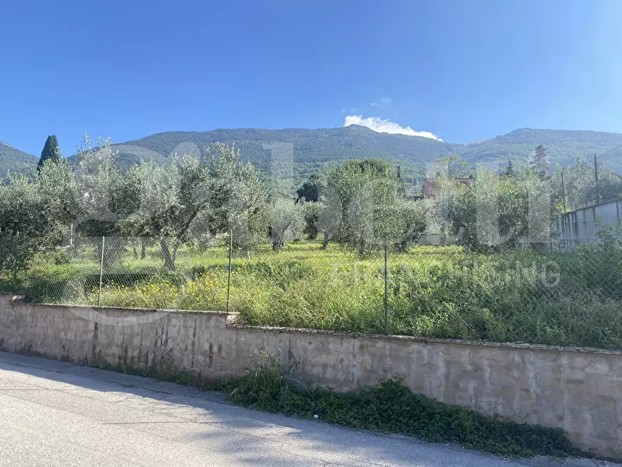 Immagine 10 di Terreno residenziale in vendita  in Via DELLE GINESTRE, 1 a Assisi