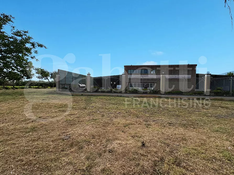 Immagine 10 di Azienda agricola in vendita  in LocalitÃ  Monticello a Pastorano