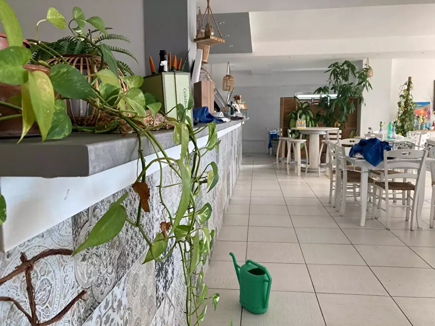 Immagine 1 di Bar / Ristorante in vendita  in Viale dellâerica a Cellole