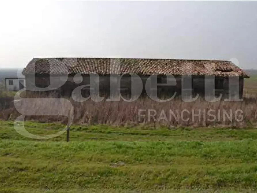 Immagine 6 di Rustico / casale in vendita  in Via Cavarzere, LocalitÃ  Ribasso, 6 a Cavarzere