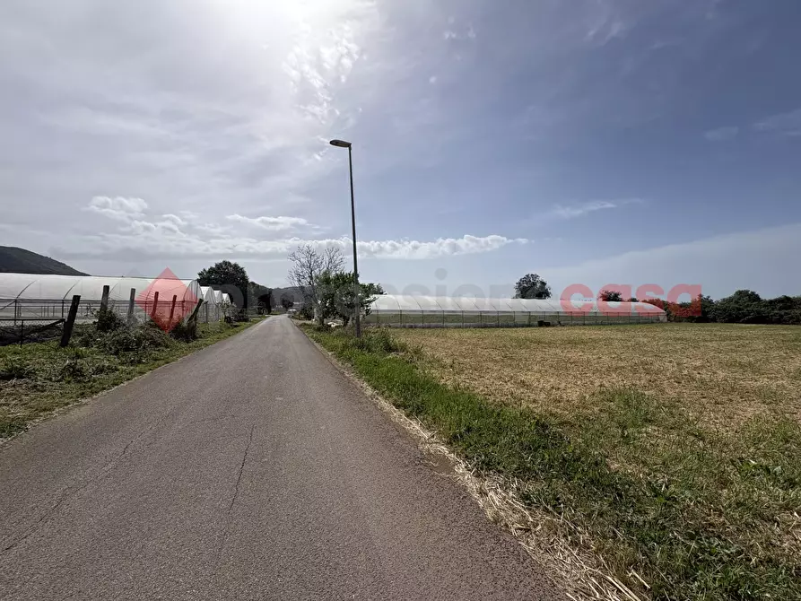 Immagine 4 di Terreno agricolo in vendita  in Via PONTE DI FERRO, 74 a Terracina