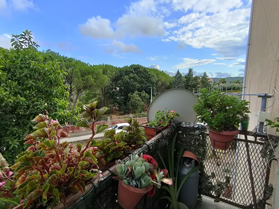 Immagine 7 di Appartamento in vendita  in Via Cattaneo, 63 a Iglesias