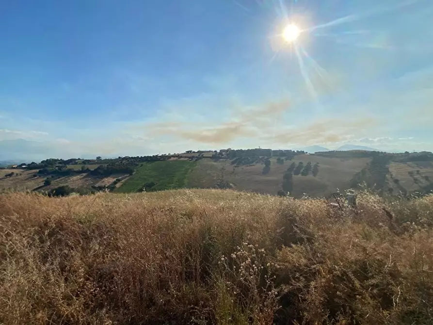 Immagine 1 di Terreno agricolo in vendita  in LocalitÃ  Centovie, 0 a Roseto Degli Abruzzi