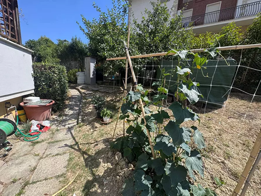 Immagine 23 di Appartamento in vendita  in Via spada a Osimo