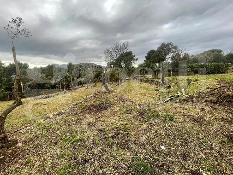 Immagine 24 di Villa in affitto  in Strada Provinciale Itri-Sperlonga, 83 a Itri