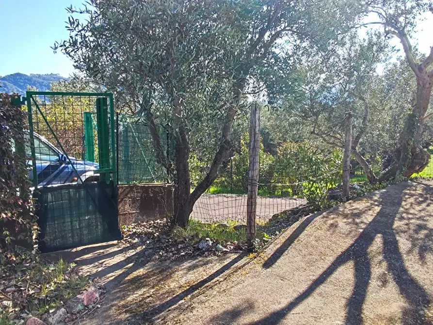 Immagine 2 di Villa in vendita  in LocalitÃ  MORTILLA, SNC a Magisano