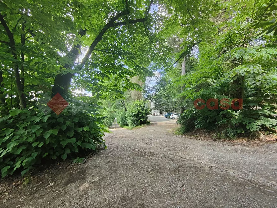 Immagine 8 di Terreno agricolo in vendita  in Via di castagneto a Empoli
