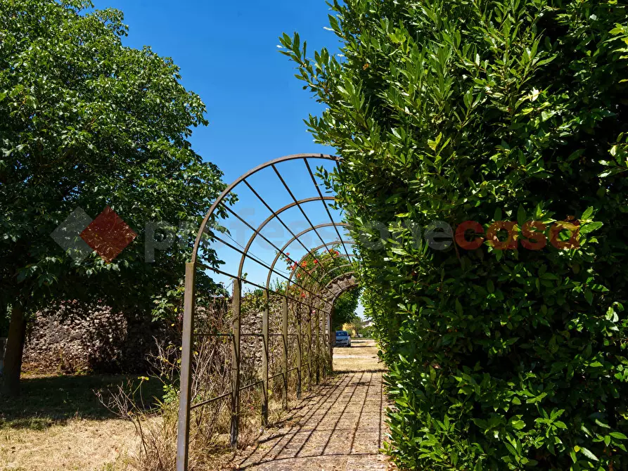 Immagine 39 di Bar / Ristorante in affitto  in Via casilina km 64.700, snc a Anagni